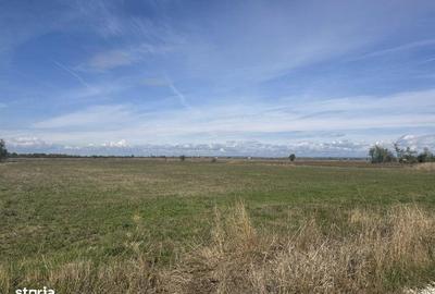 Spațiu comercial, în Nejlovelu - 4