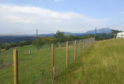 Spațiu comercial, în Bran - 2