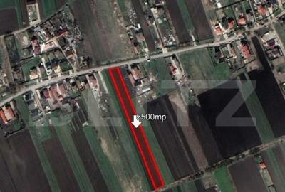 Teren de 5500 mp, în Stupini