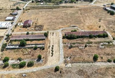 Teren de 90000 mp, în Sânandrei