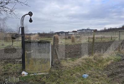 Teren de 1996 mp, în Viile Satu Mare - 13