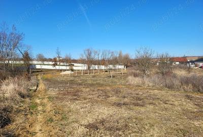 Teren de 647 mp, în Paleu - 9