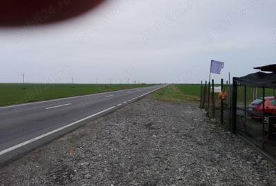 Teren de 5000 mp, în Central - 1
