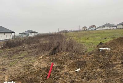 Teren de 5000 mp, în 1 Decembrie