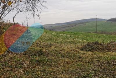 Casa individuala 1 camera, 51 mp, 3000 mp teren, Geaca - 4