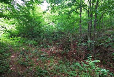 Teren de 900 mp, în Văliug - 14