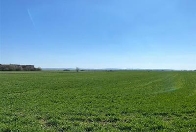 RECO Casa in  Tamaseu  18km de Oradea - 11