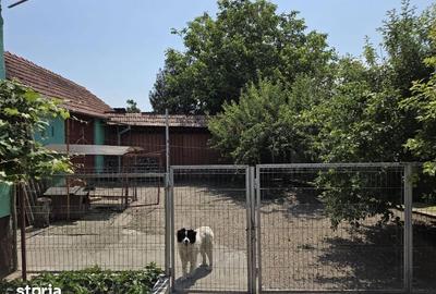 Casă cu 3 camere cu Teren 1769 Mp în Crăciunelu de Jos - 3