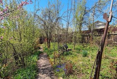 Casă cu 2 camere cu Teren 550 Mp în Teliucu Inferior - 6