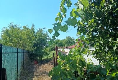 Casa de vanzare Sancraiu de Mures ocupabila imediat - 2