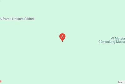 Teren extravilan de 10000 mp, în Valea Mare-Pravăț - 11