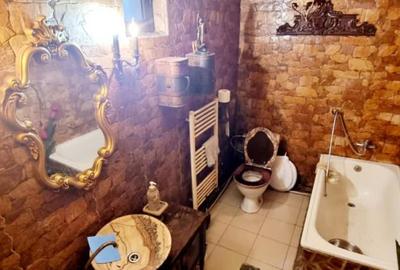 Casa, 170 mp, teren 1400 mp, zona Bariera Valcii - 5