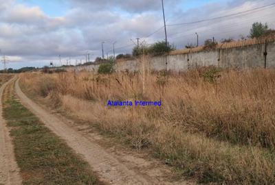 Teren constructie hale - 4