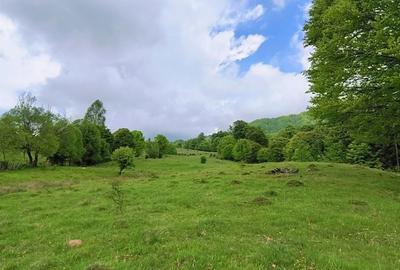 Spațiu comercial, în Mlăceni - 3