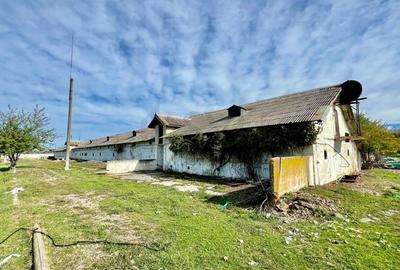 REC3001167 Hala industriala 18500mp Scornicesti-Olt - 1