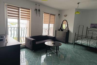 Garsonieră semidecomandată în Pipera - 5