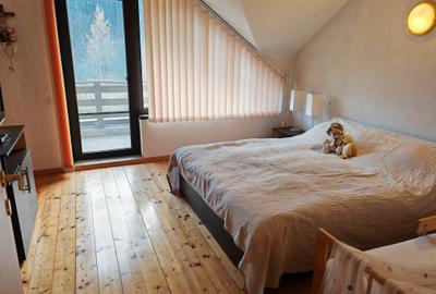 Casa 4 camere libera la vanzare, pozitie deosebita VULCAN - 12