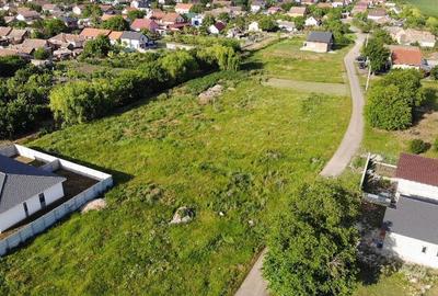 Teren Intravilan Becicherecu Mic In Vatra Satului,690 mp,Fs. 25m - 3