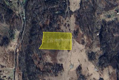 Teren de 17265 mp, în Marginea - 3