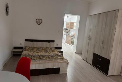 Apartament cu o camera Balcescu - 2