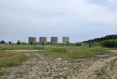 3000 m2 plasat exceptional, vest de Voluntari 3000 m2 plasat exceptional, vest de Voluntari - 5