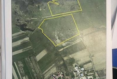 Teren Construcții intravilan de 100000 mp, în Exterior Est - 6