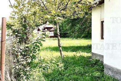 VIla 5 camere + casa rustica 4 camere, teren 5699 mp, ideal pentru investie turi - 10