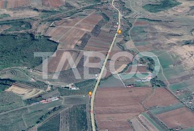 Teren extravilan de 4991 mp la strada principala in Sura Mare - 1