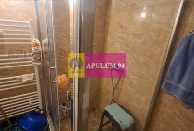 De vânzare apartament in vila - Sinaia - 12