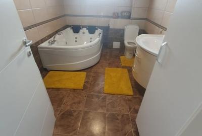 Casa  moderna mobilata cu beci 165mp +3000mp teren Cotnari - 24