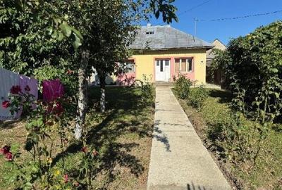 Casă cu 3 camere cu Teren 2000 Mp în Talpa - 12