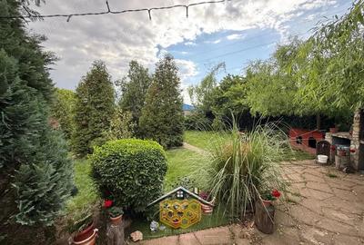 Casa P+1 cu garaj si 950 mp teren in Simnicul de jos - Comision 0% - 10