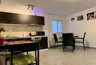 Casa si pensiune Sanpetru-Brasov - 7