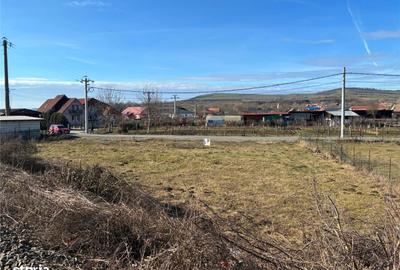 Teren de 1000 mp, în Central - 5
