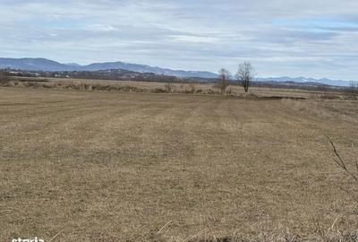 Teren de 3900 mp, în Central - 2