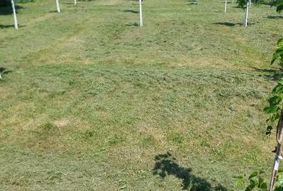 Casă cu Teren 2210 Mp în Săcel - 1