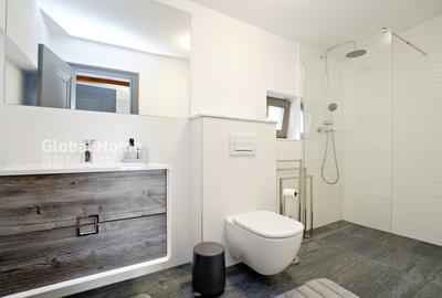 Casă individuală cu 10 camere cu Piscina în Colibița - 12