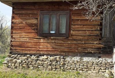 Teren în Moisei - 1