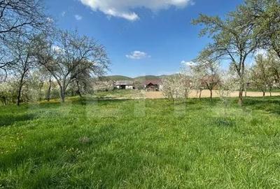 Casă cu Teren 2300 Mp în Cășeiu - 6