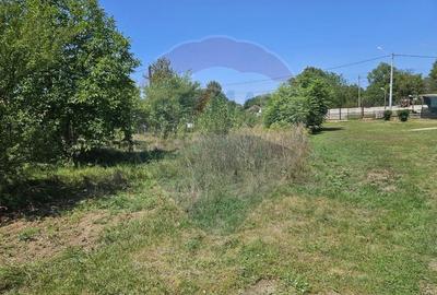 Teren intravilan de 813 mp, în Ciolpani - 3