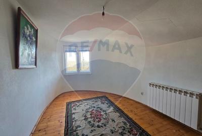 Casă cu 7 camere cu Teren 5175 Mp în Vințu de Jos - 8