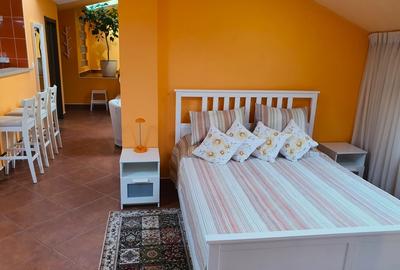 Apartament semidecomandat în Dorobanți - 2