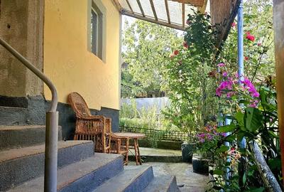 Casa Ghelari - Tinutul Padurenilor - 2