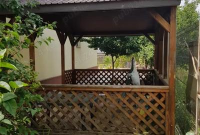 Casă cu 4 camere în Mogoșești - 2