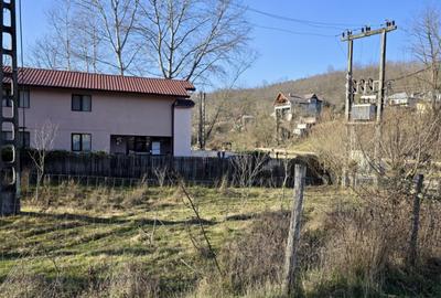 Teren 4.549 mp intravilan, la doar 8 minute de Valenii de M - 5