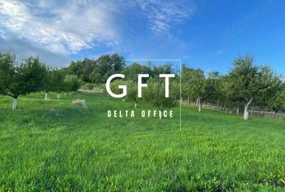 Teren de 2900 mp, în Dorolea - 4