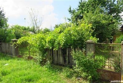 Casă cu 3 camere cu Teren 1146 Mp în Ologeni - 8