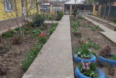 De vanzare, fara schimb - 2