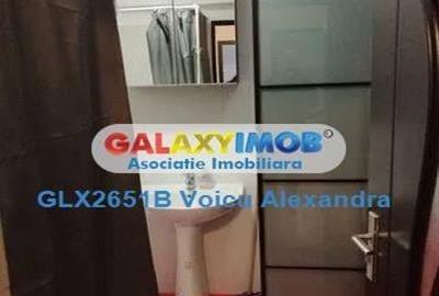 Garsoniera Bloc Nou Berceni - Metalurgiei - Drumul Binelui - 5