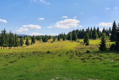 Teren de 1350 mp, în Beliș - 4